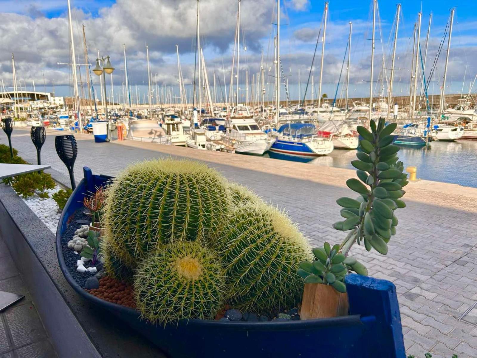Apartament Casa Natalie La Marina Puerto Calero Zewnętrze zdjęcie